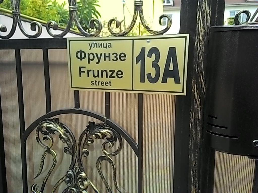 Фото Азалия Мимоза