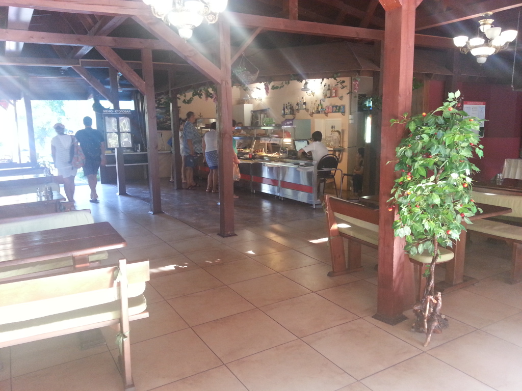 Фото Спутник