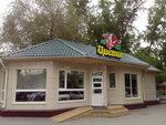 Tsvety (Pushkina Street, 116Б) ، محل زهور