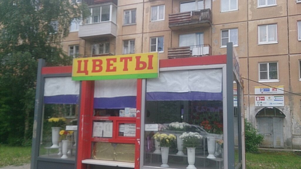 Магазин Цветок Петрозаводск Официальный Сайт