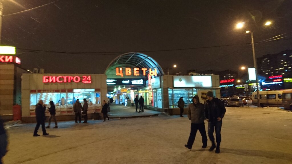 Метро Озерки Магазины