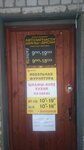 Avtomobilnyye chekhly (Krasnaya ulitsa, 46), auto accessories
