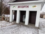 Ассорти (ulitsa Timiryazeva, 27), grocery