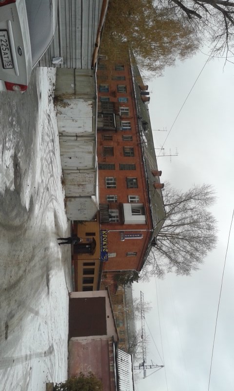 Фото Крокус