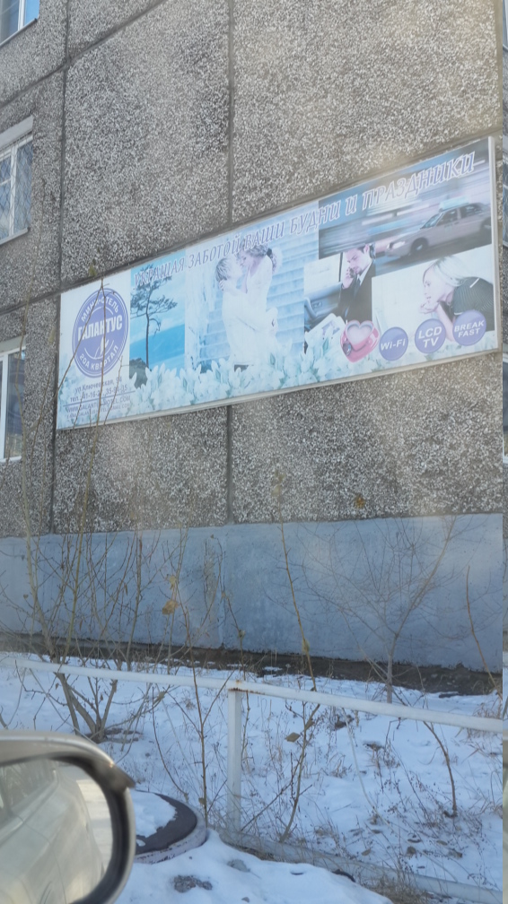 Фото Галантус