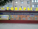 Magazin Mebel (ulitsa Mayakovskogo, 81) ، محل أثاث