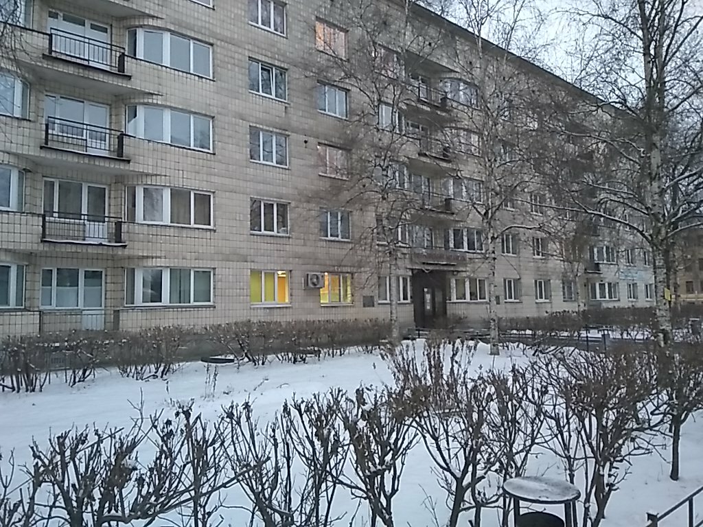 Петровский колледж санкт петербург общежитие фото