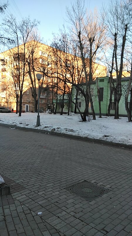 Фили — фото 45