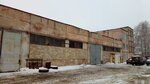 Ip Boldyrev A. V. (Sovetskaya Street, 206), bus transportation
