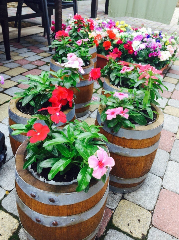 Фото Тортуга