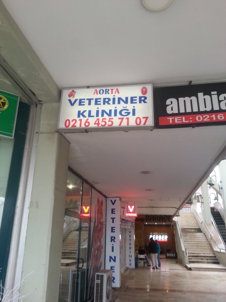 aorta veteriner klinigi veteriner klinikleri turkiye istanbul atasehir atasehir ataturk mh atasehir blv 13 yandex haritalar