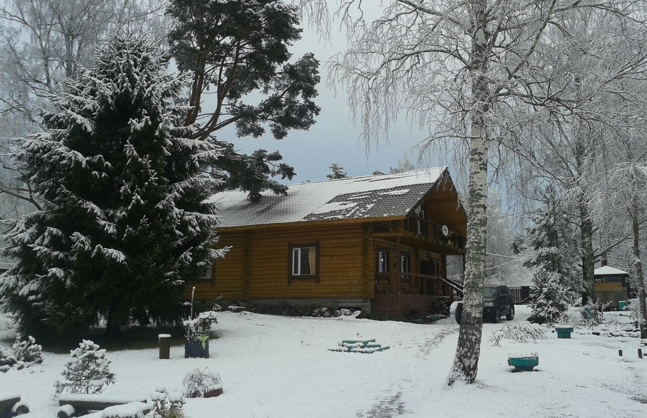 Фото Беличье