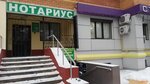 Dvizova N. N Notary (Kashirskoye Highway, 49), notaries