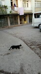 Dogus Printing House (Eskişehir, Odunpazari District, Hamamyolu Street, 76), servicios de impresión