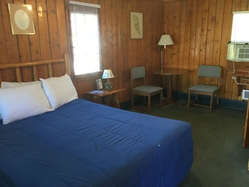 Гостиница Pines Motel