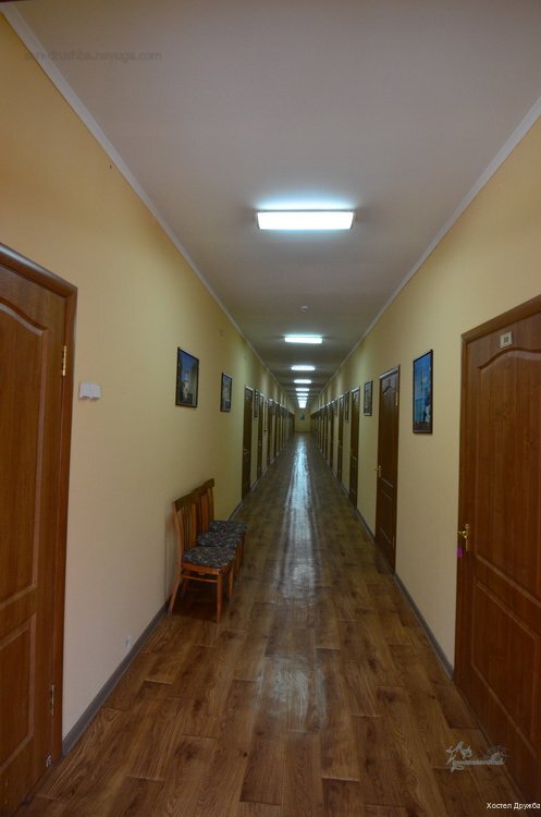 Фото Дружба