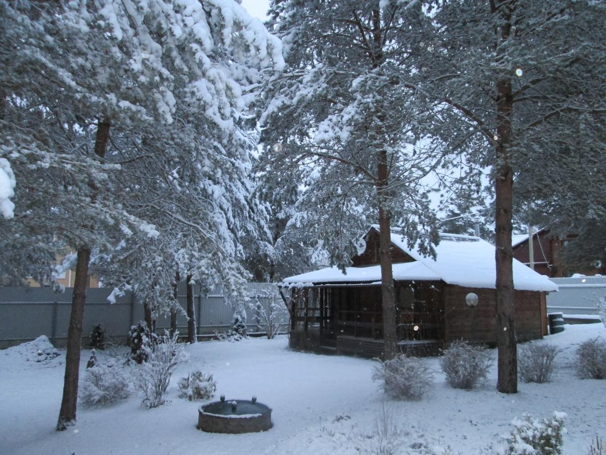 Фото Дом под соснами