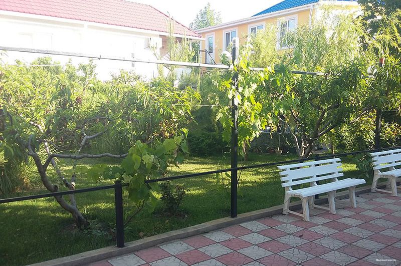 Фото Медовый месяц