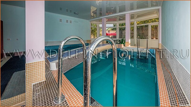 Фото Дельфин