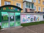 Lisenok (Chunskiy, ulitsa Komarova, 2), toys and games
