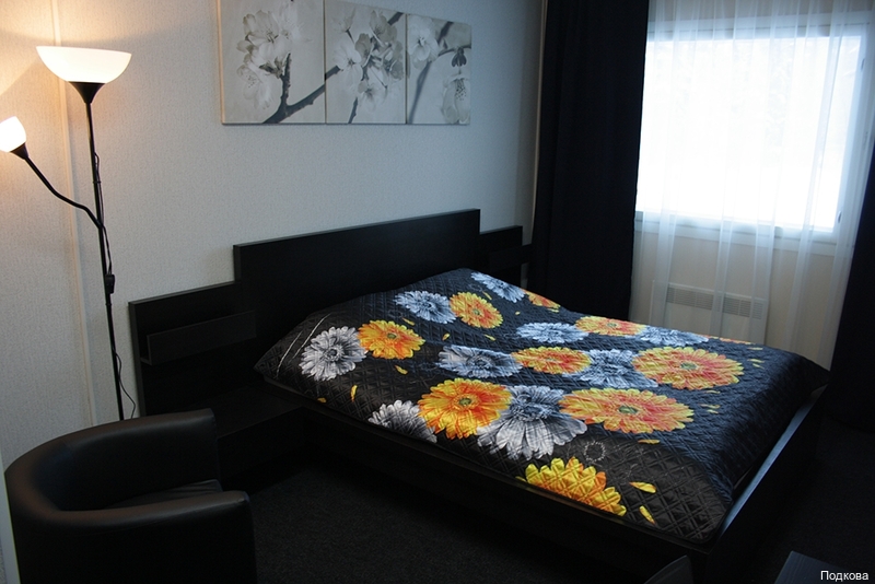 Фото Гостиница Подкова