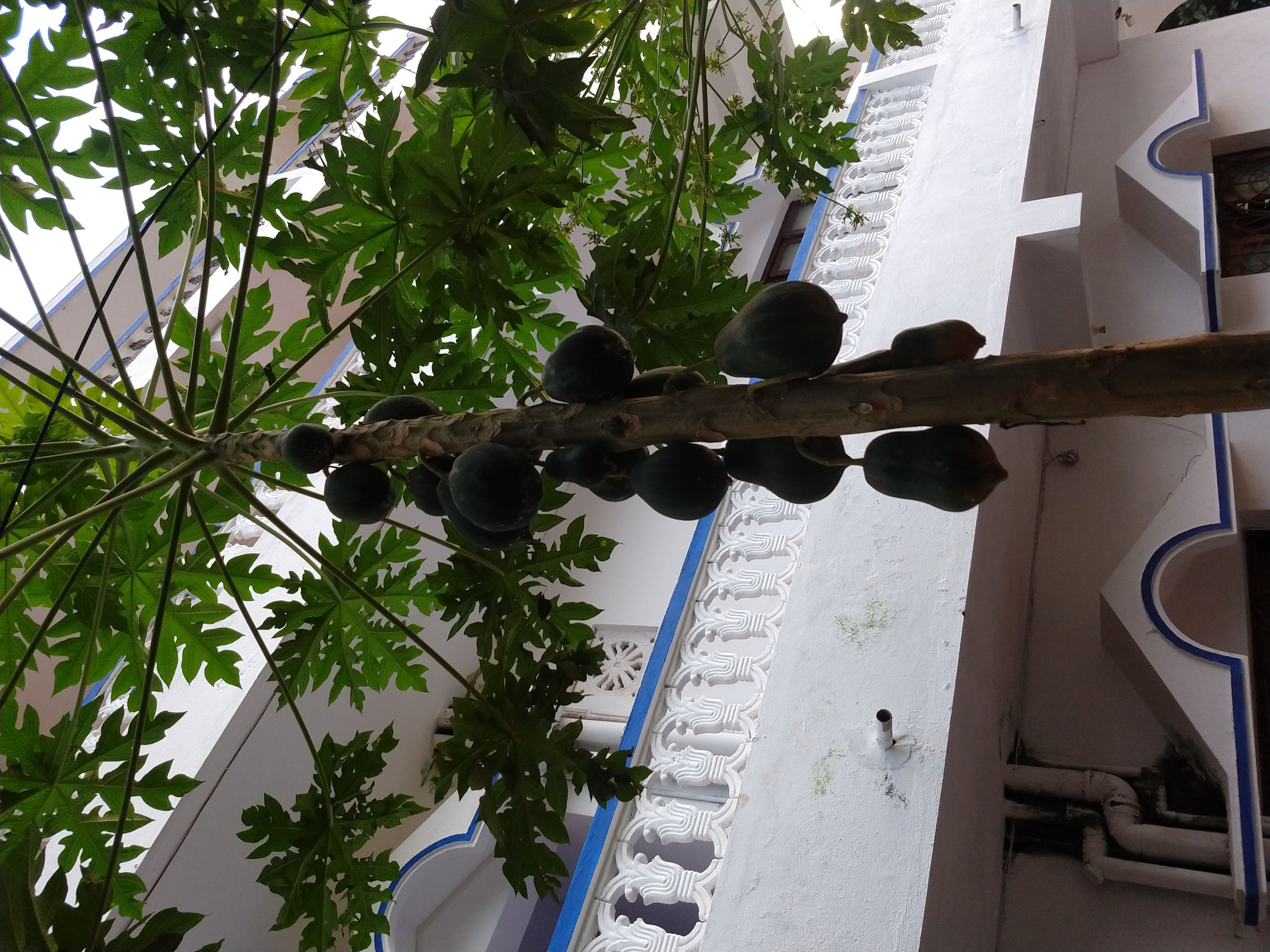 Фото Swati Hotel