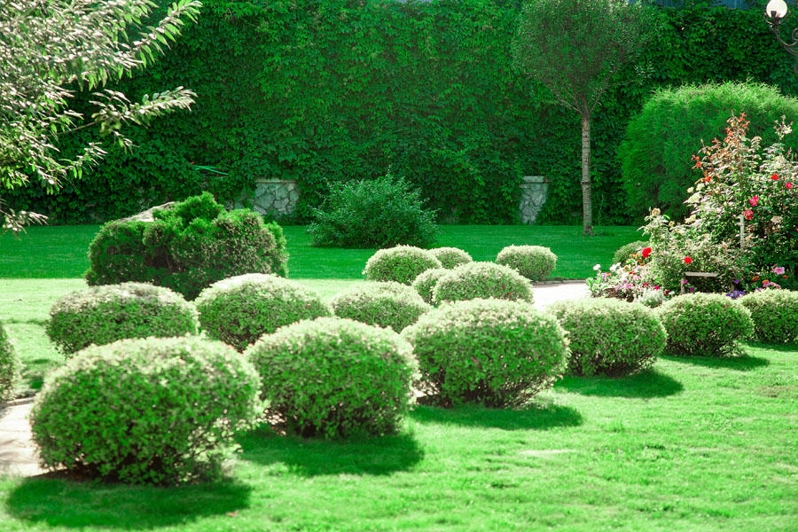 Фото Центральная