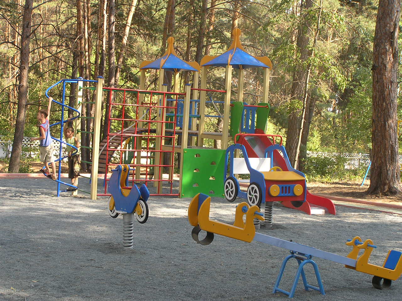 Фото Русский бор