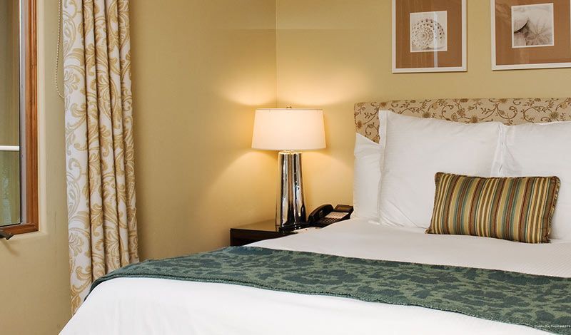 Фото Dolphin Bay Resort And SPA