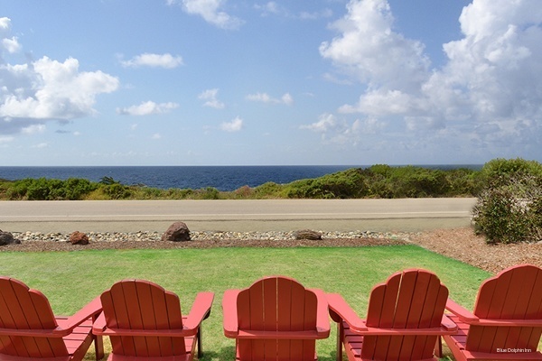 Фото Blue Dolphin Inn