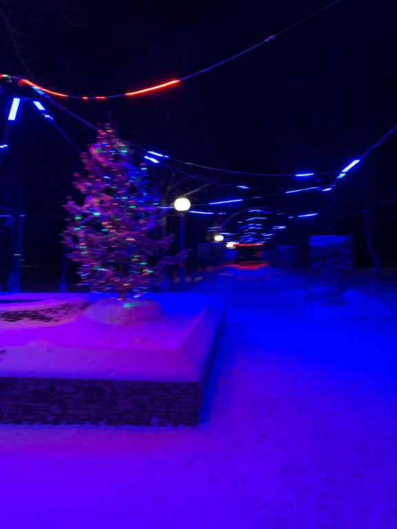 Фото Надежда