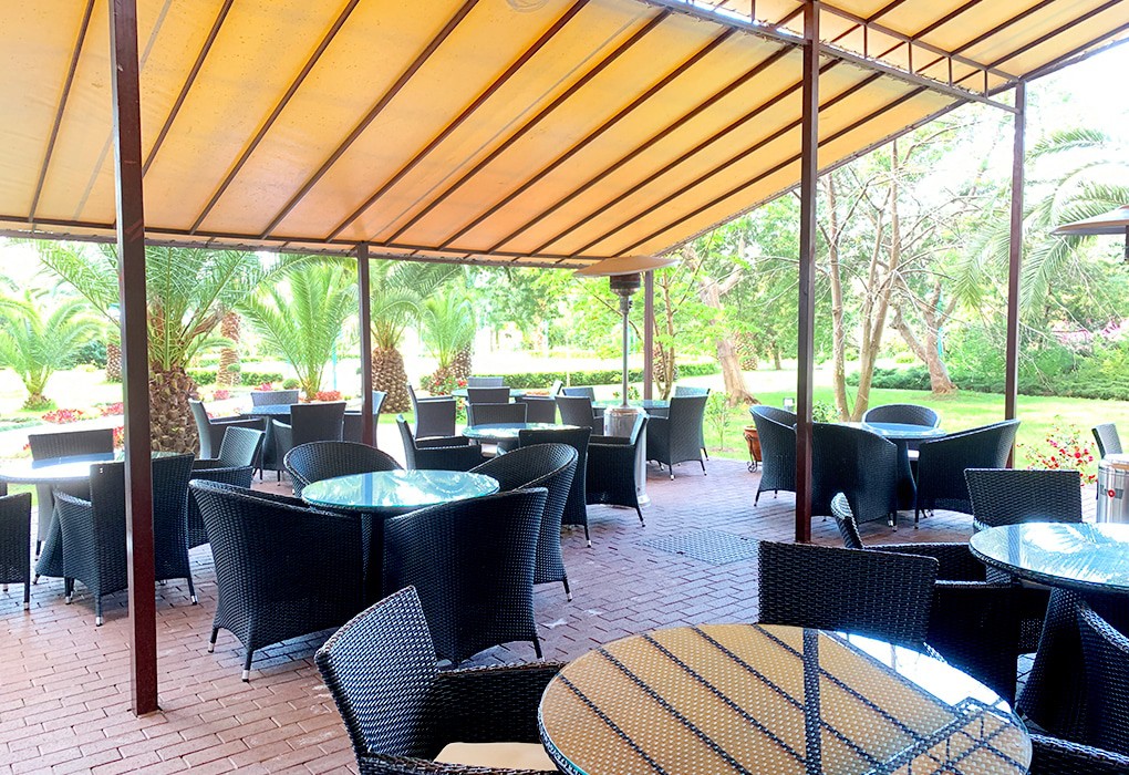 Фото Самшитовая роща