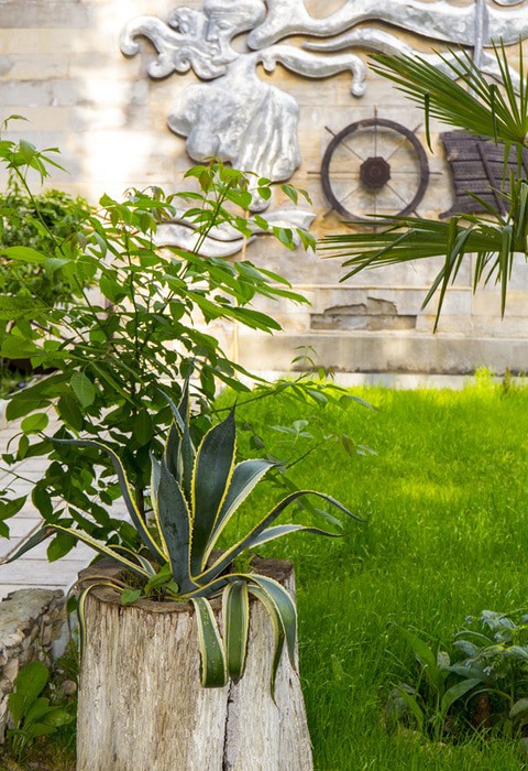 Фото Пицунда