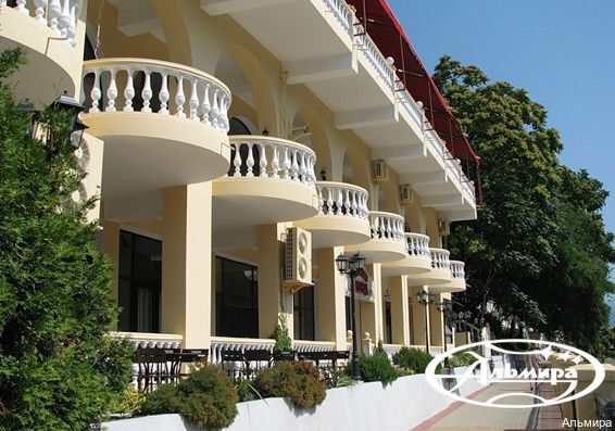 Фото Альмира