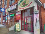 BiCo (ulitsa Surnova, 30/3) ، تنظيم المزادات والمناقصات