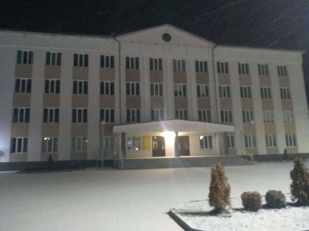 Administration Petrikovsky Rayonny Ispolnitelny Komitet, Petrikov, photo