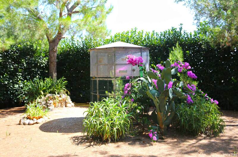 Фото Villa Tonia