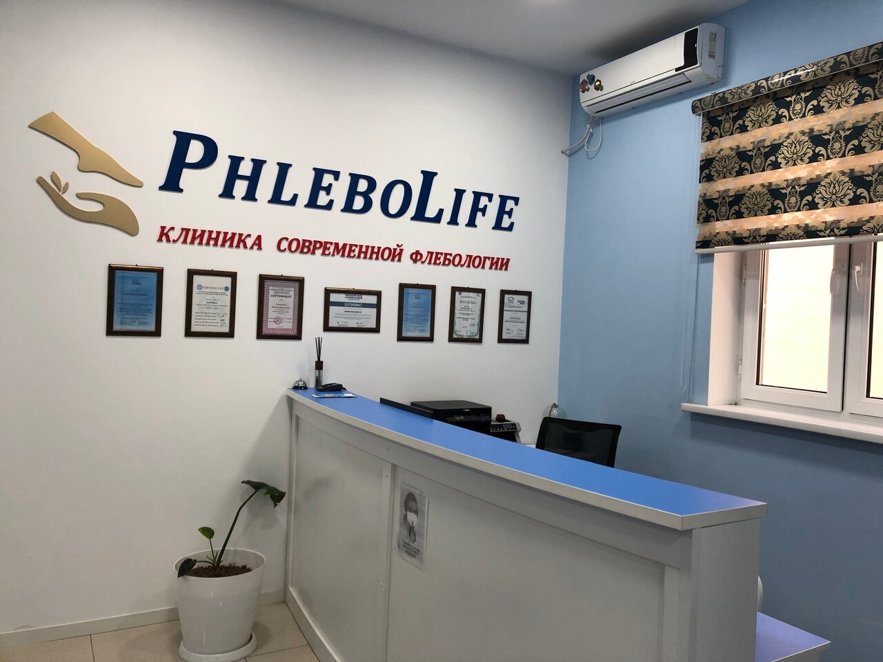 Клиника современной флебологии PHLEBOLIFE в Ташкенте