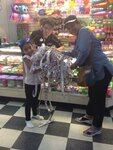 Skate N Fun Zone (United States, Manassas, 7878 Sudley Road), laser tag