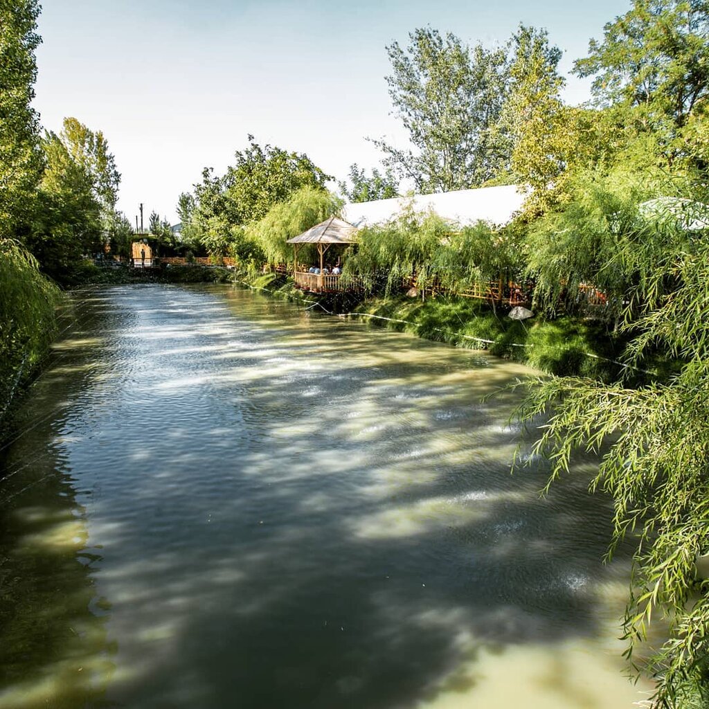 Restoran Chashma garden, Samarqand viloyati, foto