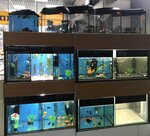 Леопольд (ulitsa Lenina, 140), pet shop