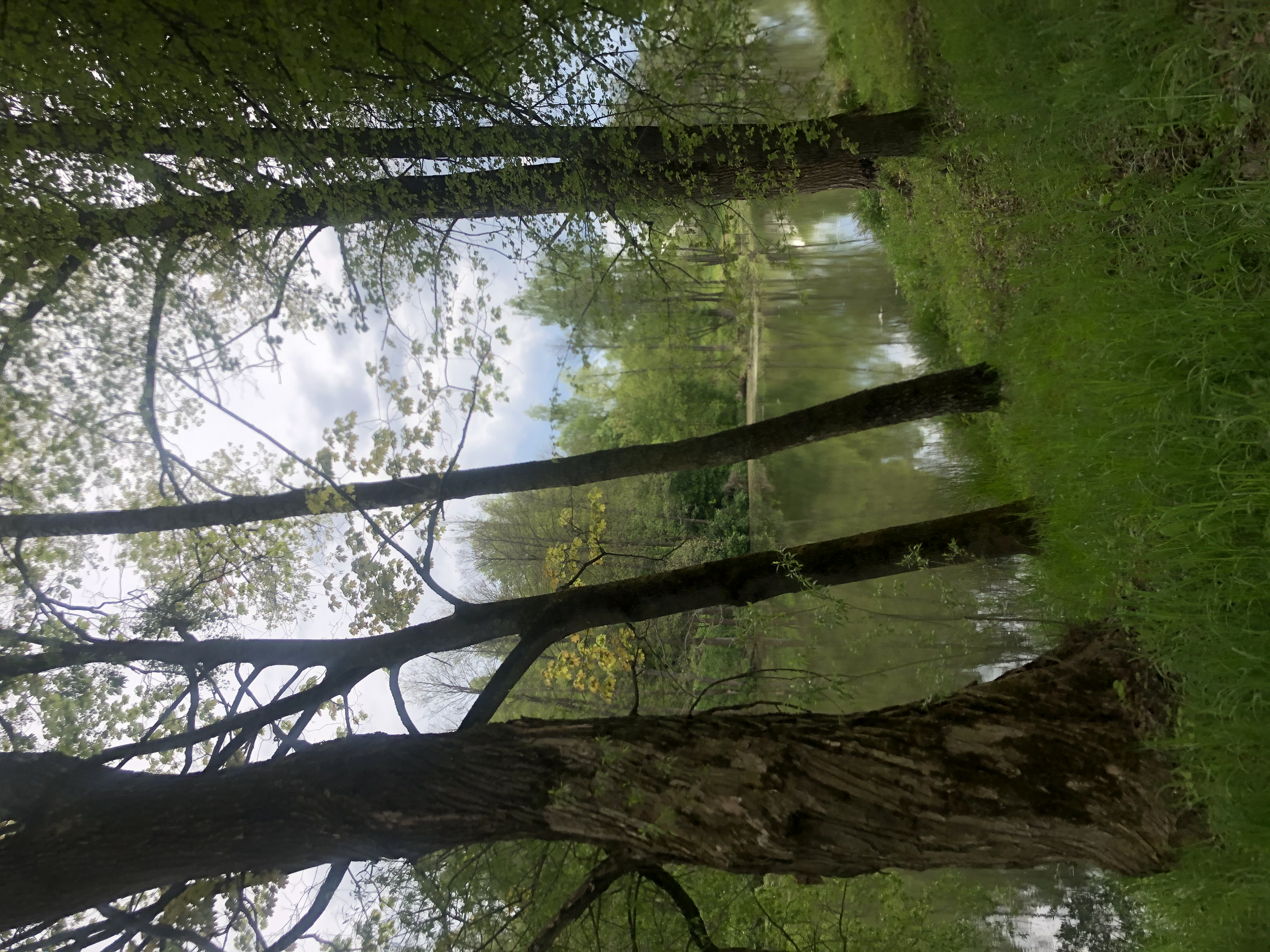 Фото Русские просторы