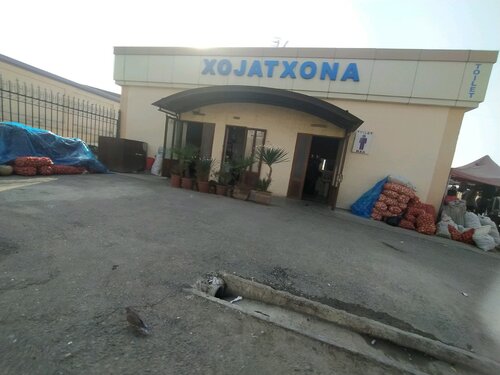 Yuliya Savicheva porno soxta