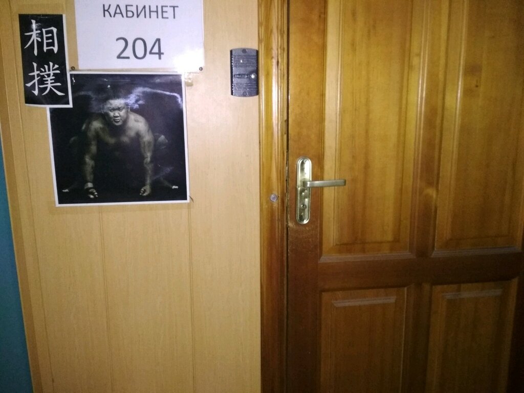 Community organization Roo Federatsiya Sumo Primorskogo kraya, Vladivostok, photo