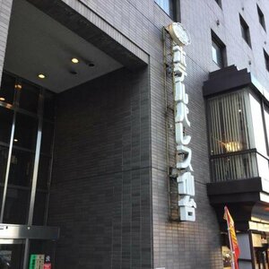 Гостиница Hotel Green Palace