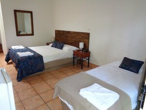 Rainforest Motel (Queensland), hotel