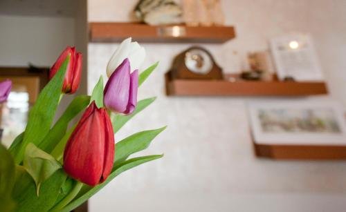 Фото Pirina Club Family Hotel