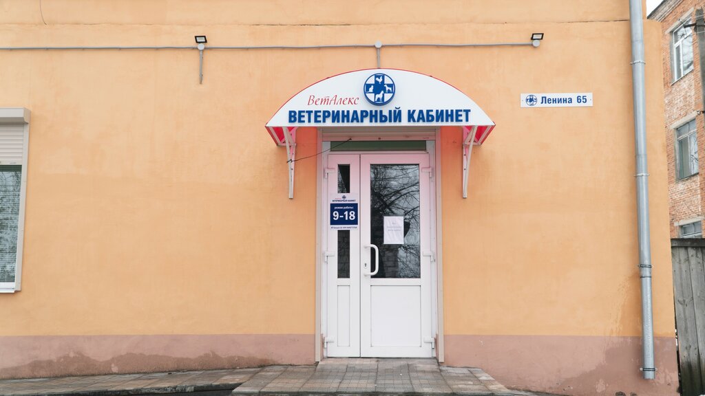 Панорама: Элитвет, ветеринарная клиника, ул. Ленина, 69А, Южно-Сахалинск - Яндек