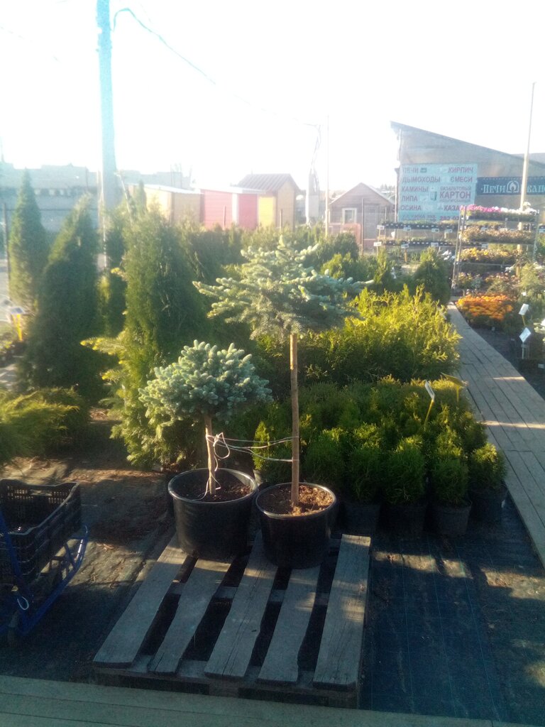 Garden center Amrita, Nizhny Novgorod, photo