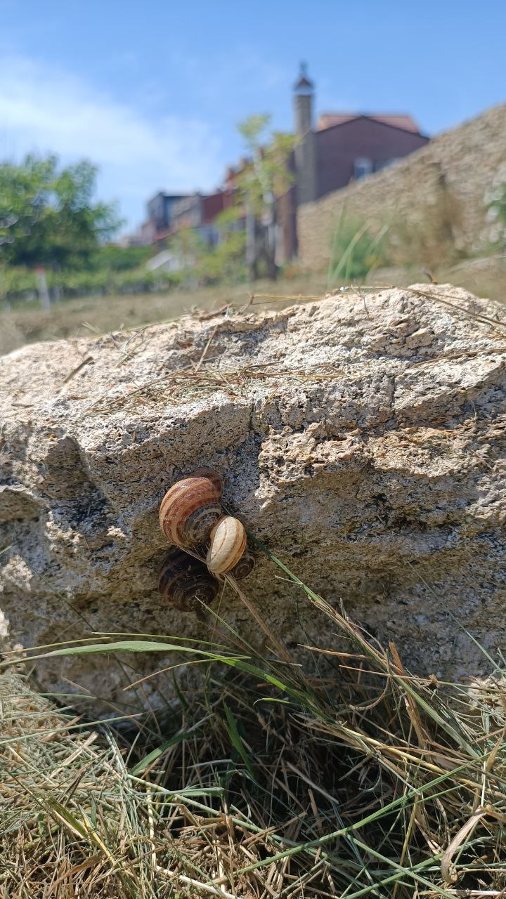 Фото Маленькая страна